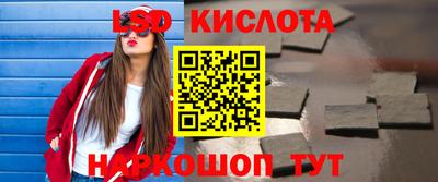 Альфа ПВП Гатчина